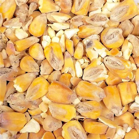 how to make corn malt.